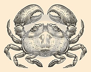 Crab hand drawn engraving style sketch. Animal vector illustration
