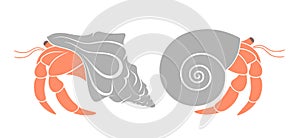 Crab hermit. crab on white background