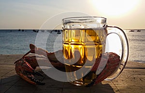 Crab with a huge claw and a mug of light beer