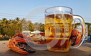 Crab with a huge claw and a mug of light beer