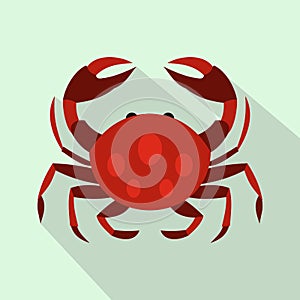 Crab icon, flat style