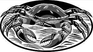 Crab Illustration in Black and White