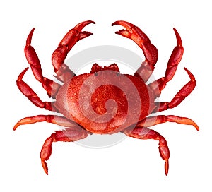 Crab Isolated