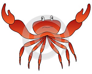 Crab. Marine invertebrate animal with claws of the order of crustaceans. Vector illustration. Isolated white background.