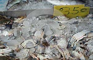 Crab market retail fresh alive catch food