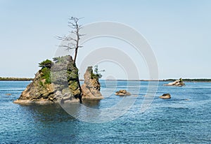 Crab Rock