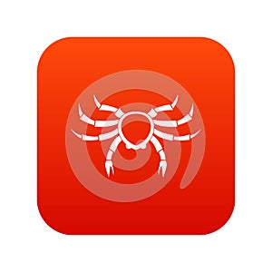 Crab sea animal icon digital red
