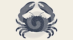 Crab, seafood, sketch. Vintage retro print