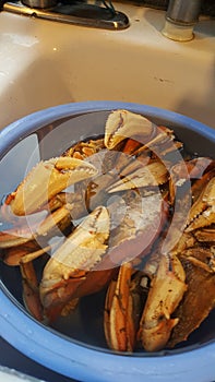 Crab in a sink