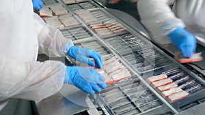 Crab sticks are getting packed by factory workers. Food processing plant.