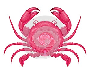 Crab top view, vector isolated animal