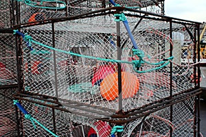 Crab trap