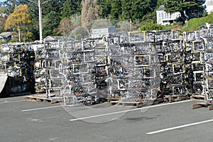 Crab traps and floats in the Yaquina marina