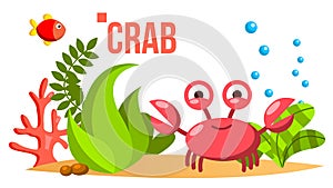 Crab Vector. Sea, Ocean Bottom With Seaweed And Fish. Isolated Flat Cartoon Illustration