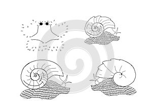 Crab and volcano snails, colouring book page uncolored