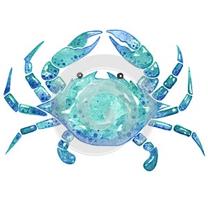 Crab watercolor illustration for decoration on marine life.