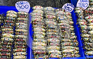 Crab were bind in local thailand market sale photo