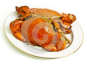 Crab on white plate