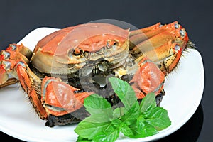 Crab on White Plate