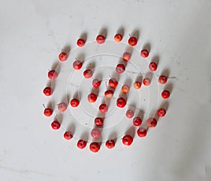 Crabapples are arranged on the ground