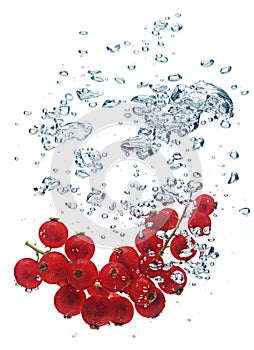 Crabapples in water