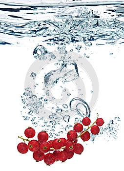 Crabapples in water