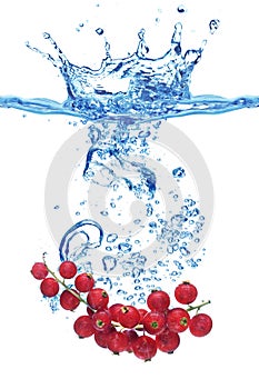 Crabapples in water