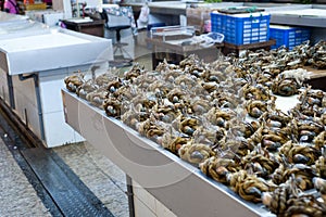 The crabs in the fishing market