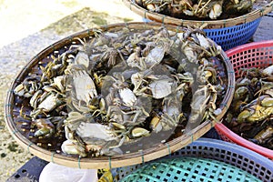 Crabs in Hoi An market
