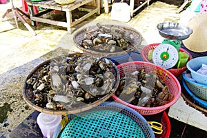 Crabs in Hoi An market