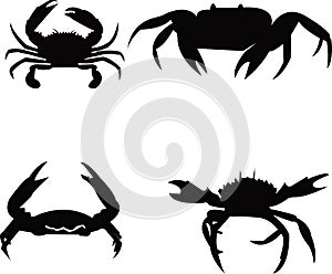 Crabs jpg image with svg vector cut file for cricut and silhouette