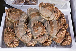 Crabs prepared for selling in the market in Hokkaido, Japan