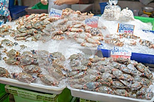 Crabs seafood heap in ice, Food Fresh in Thailand