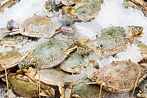 Crabs sold in market