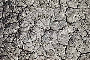 Craced clay in desert