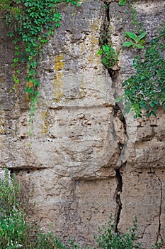 Crack in the Canyon Wall