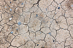 Crack dried soil background.
