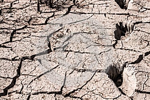 Crack ground of drought background.