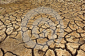 Crack ground and drought parched ground.