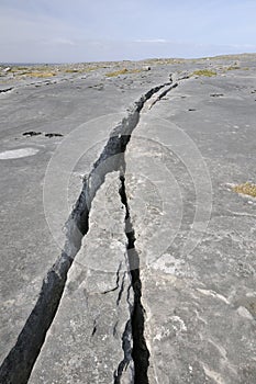 Crack in Limestone Pavement