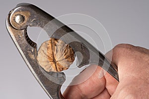 Crack a nut with a nutcracker