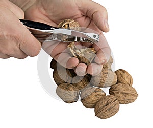 crack a nut with a nutcracker