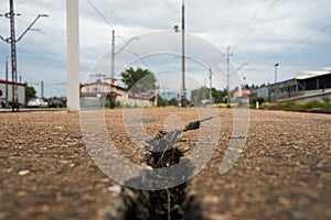 A crack in the pavement at the railway station in Nowy Targ.