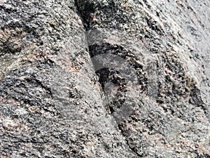 The crack on the rock