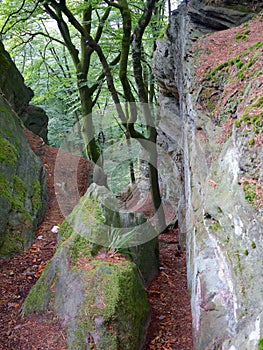 Crack Between Rocks on the Mullerthal Trail in Berdorf, Luxembourg photo