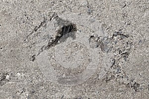 a crack in the sand