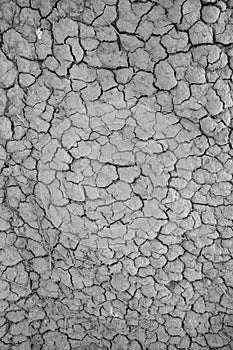 Crack soil on dry season, Global worming effect photo