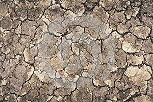 Crack soil texture