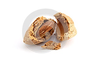 Cracked almond in a shell