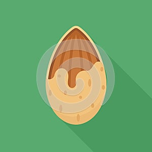 Cracked Almond with Shell Flat Vector Illustration